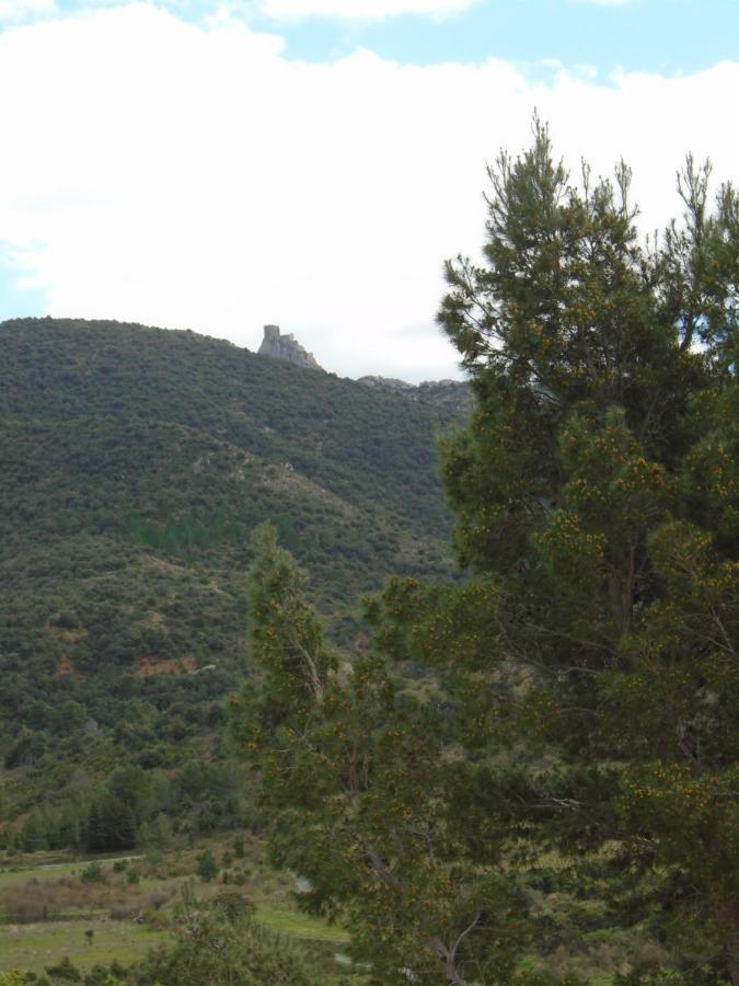 Gîte la tramontane Cucugnan Esterno foto